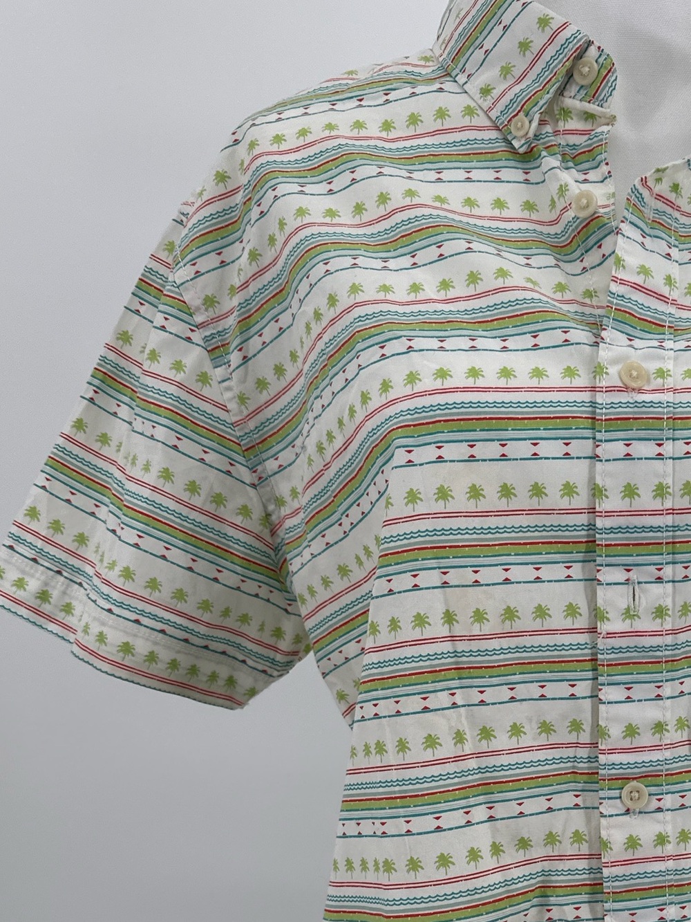 Arizona Palm Stripe Shirt